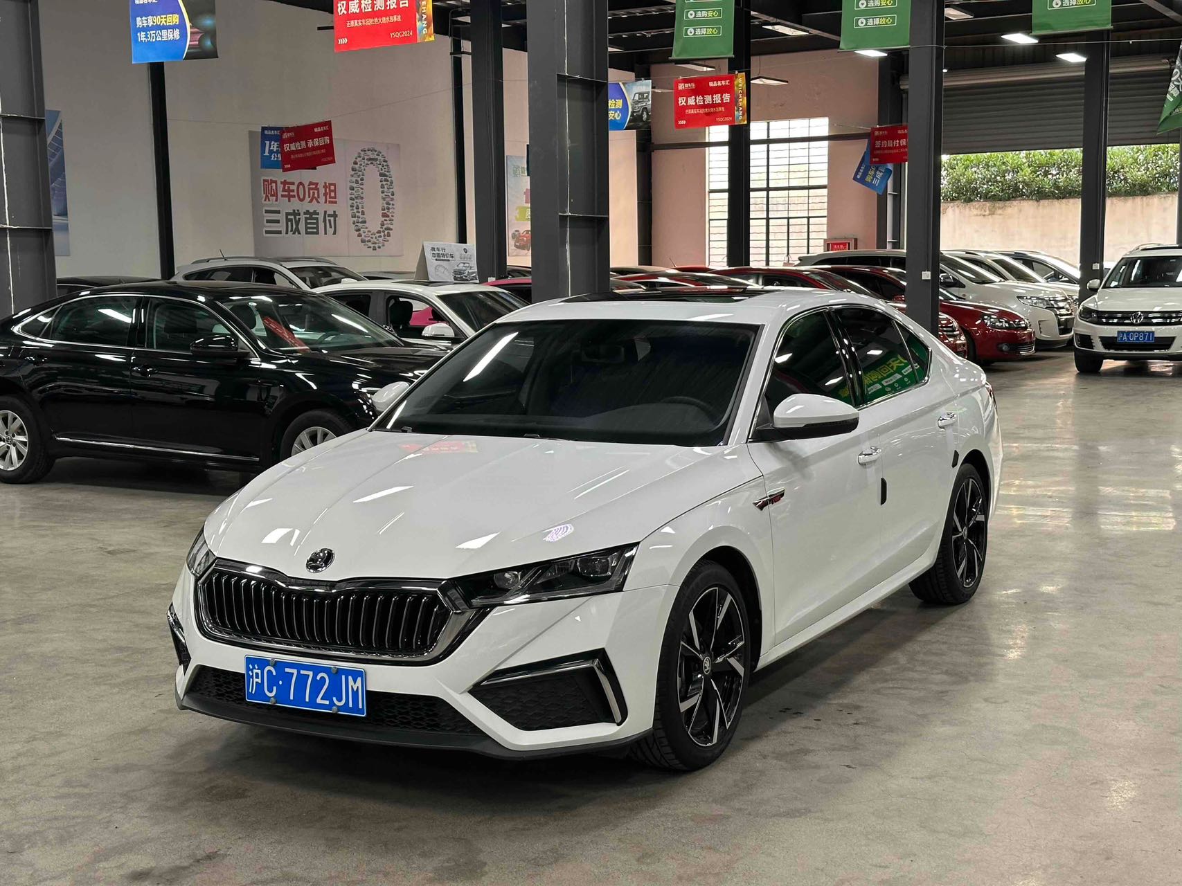 Skoda Octavia 2024 car image 