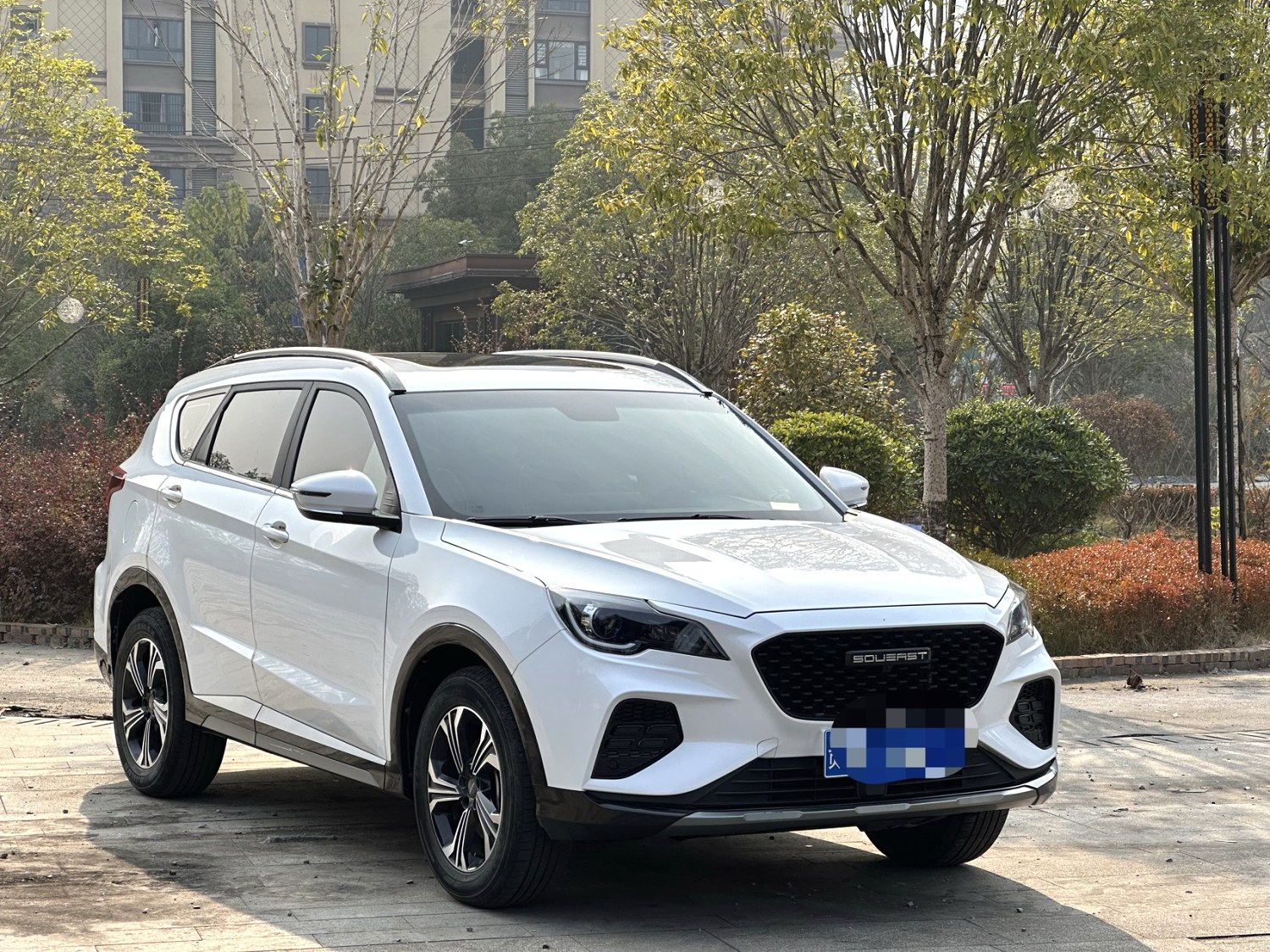 Soueast DX8 S 2023 immagine di auto #10