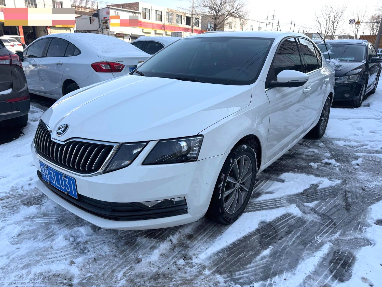 Skoda Octavia 2023 car image 