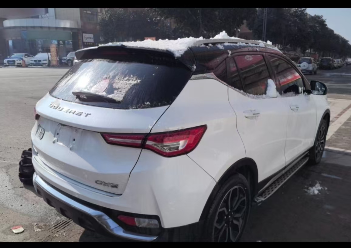 Soueast DX5 2023 car image #16