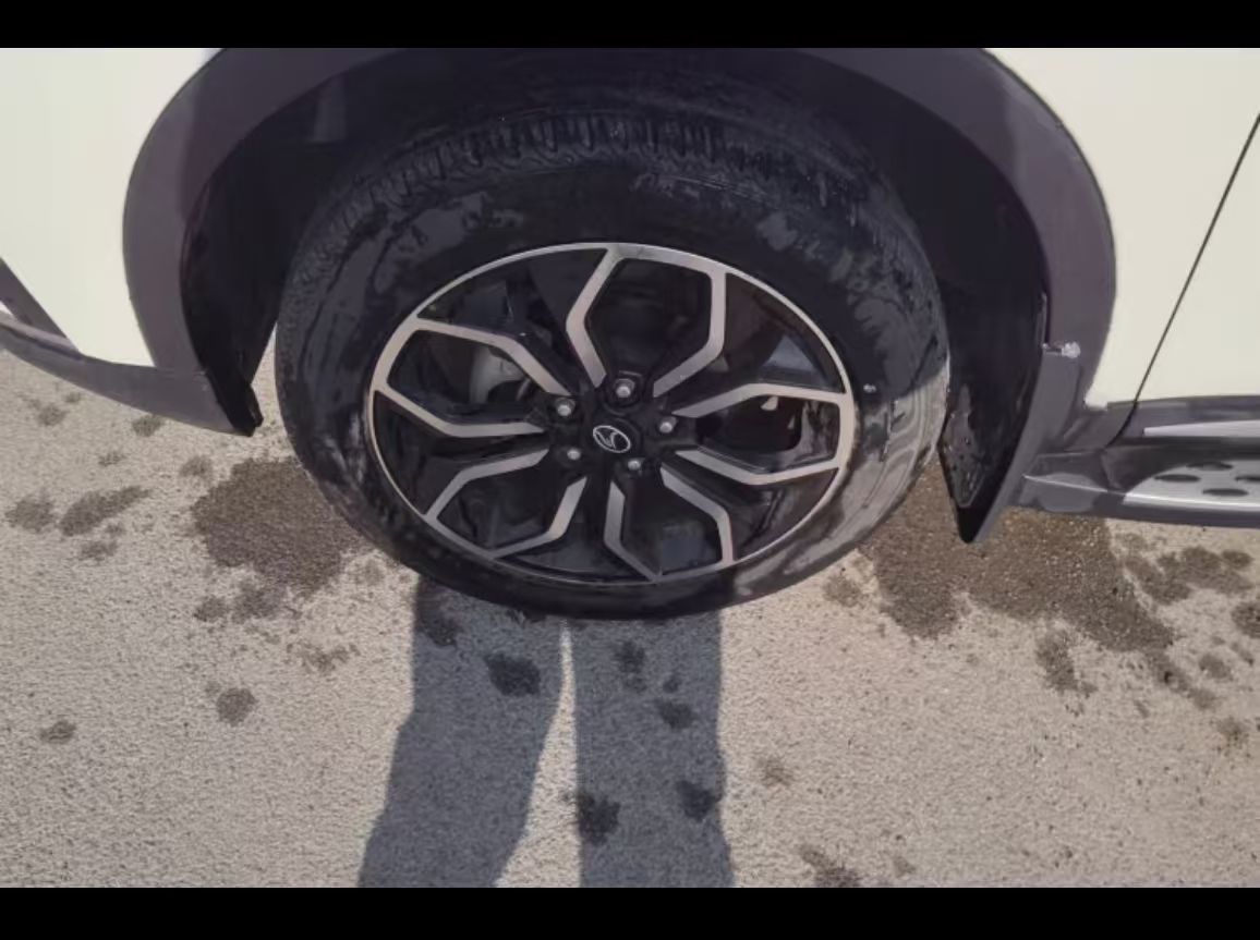 Soueast DX5 2023 car image #4