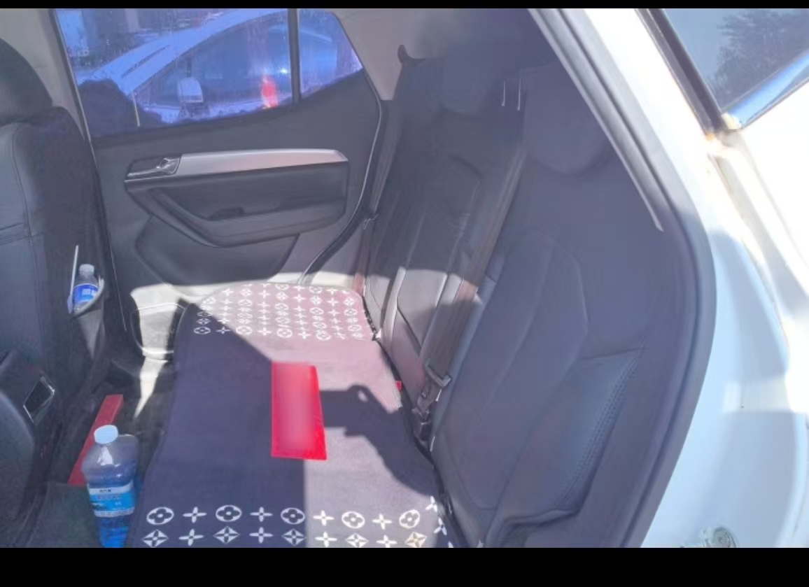 Soueast DX5 2023 car image #7