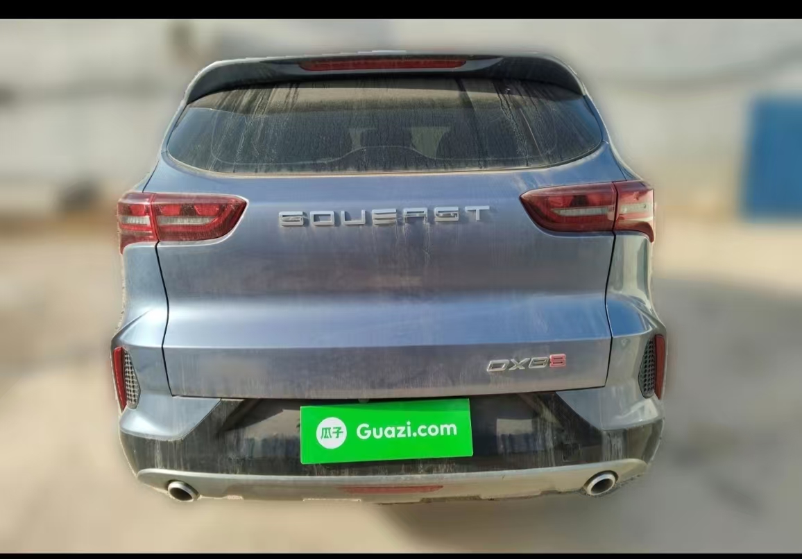 Soueast DX8 2022 imagen de coche #12