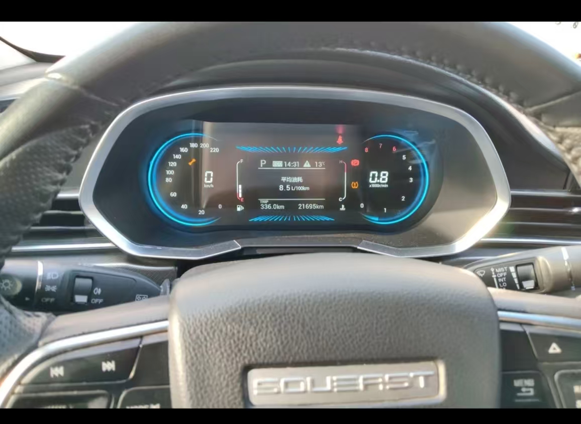 Soueast DX8 2022 imagen de coche #8