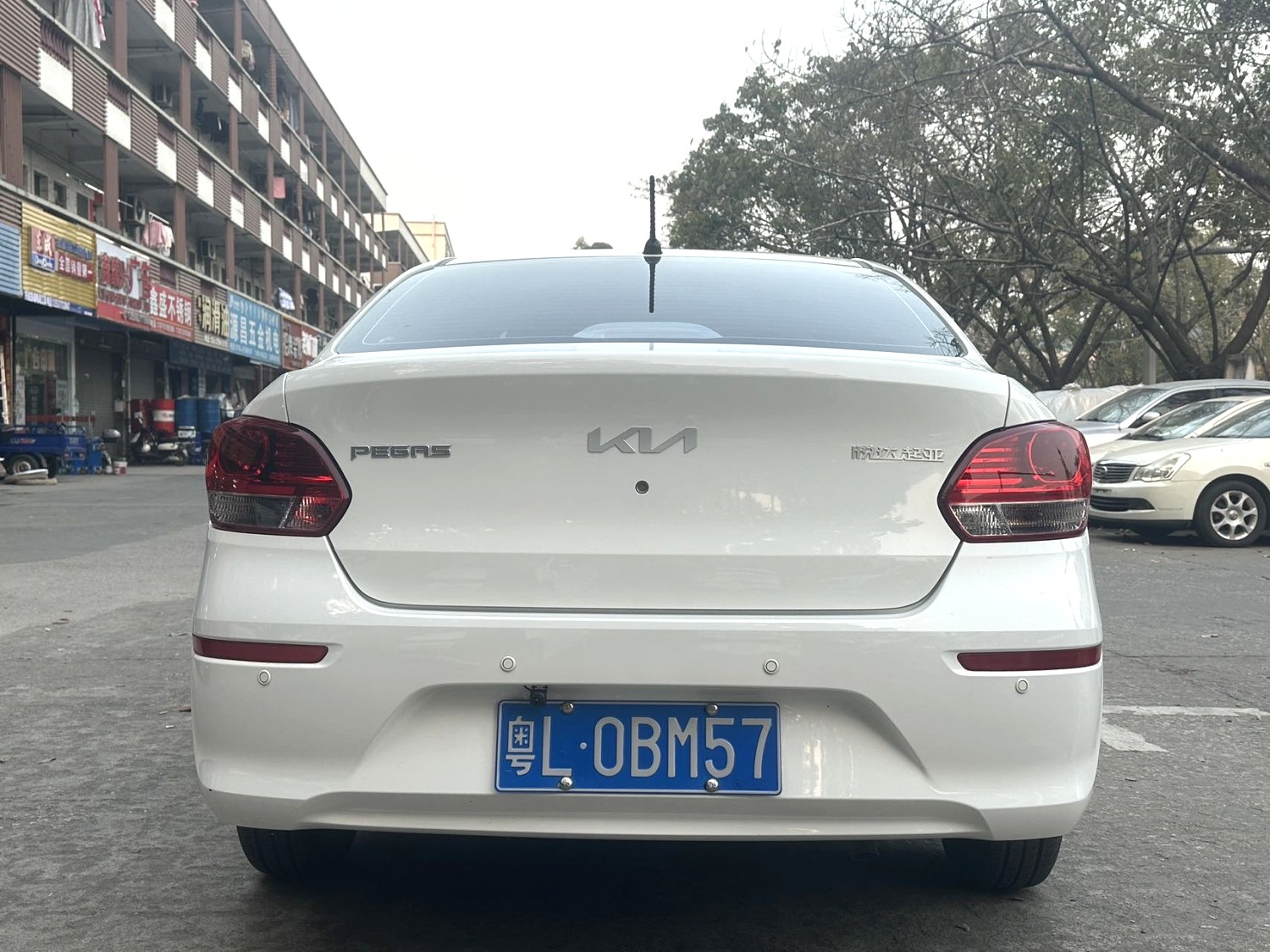 Kia Pegas 2024 image de voiture #6