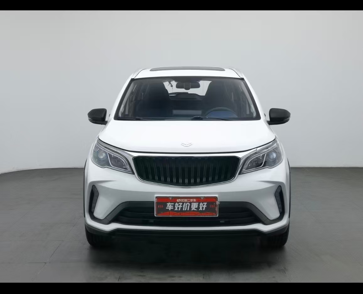 Livan X3 PRO 2022 immagine di auto #16