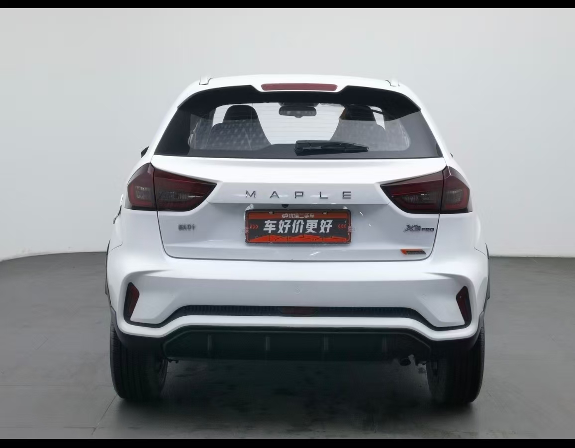 Livan X3 PRO 2022 immagine di auto #7