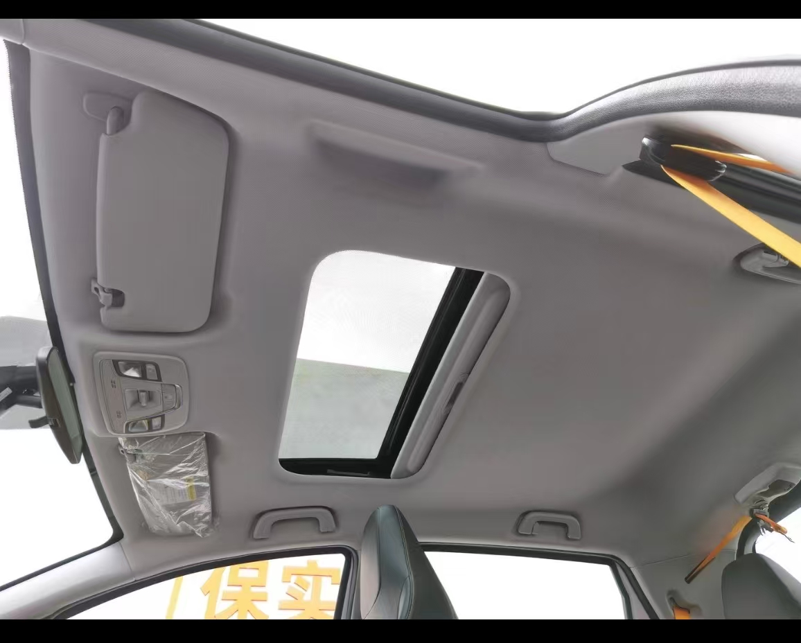 Livan X3 PRO 2022 immagine di auto #9