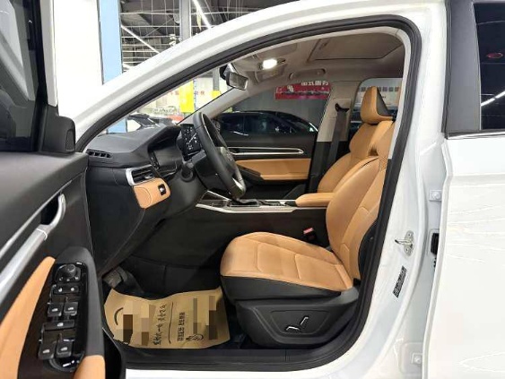GEELY Emgrand 2024 immagine di auto #7