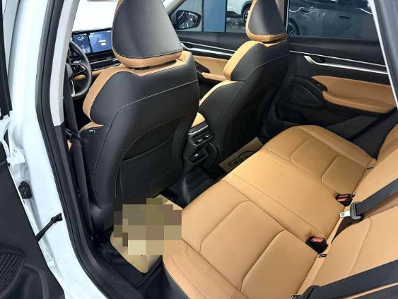 GEELY Emgrand 2024 immagine di auto #5