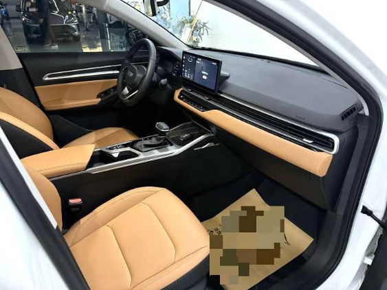 GEELY Emgrand 2024 immagine di auto #9