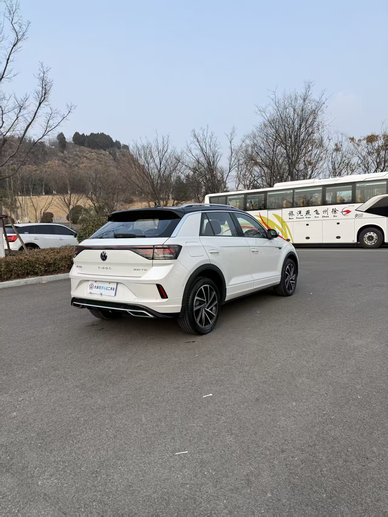 Volkswagen T-Roc 2023 car image #12