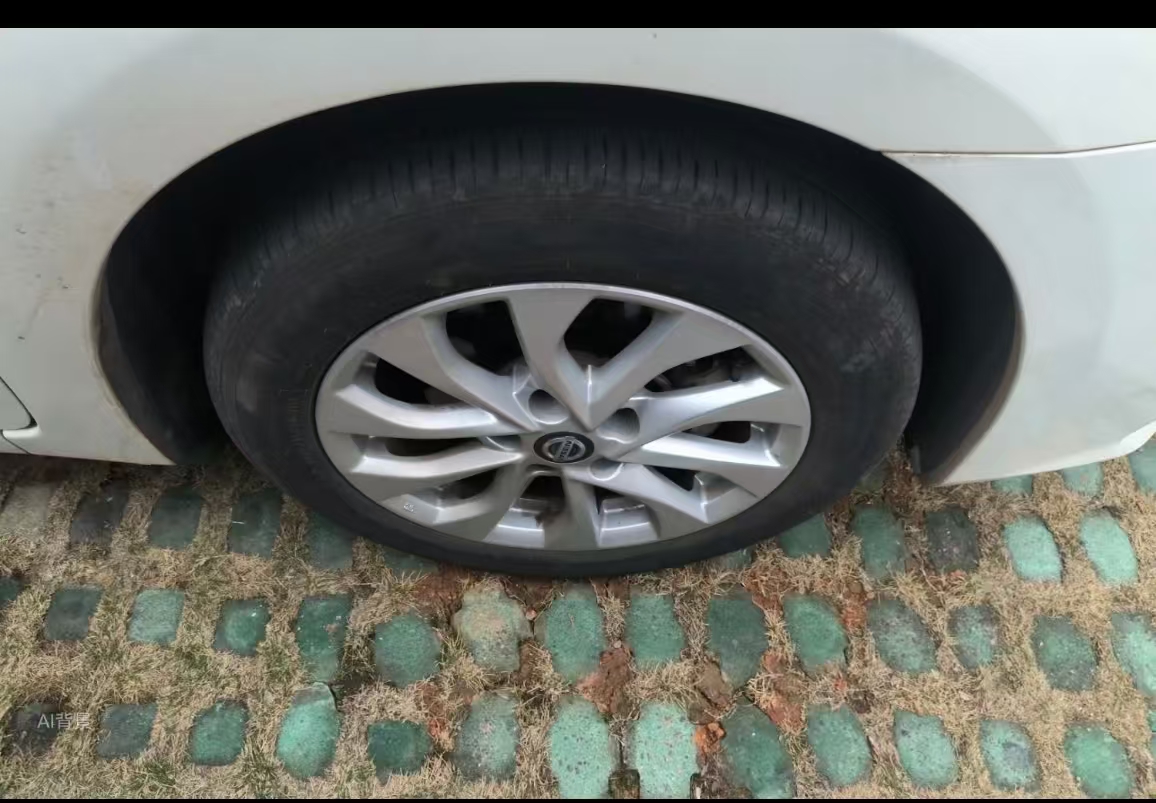 Nissan Sylphy 2024 car image #16