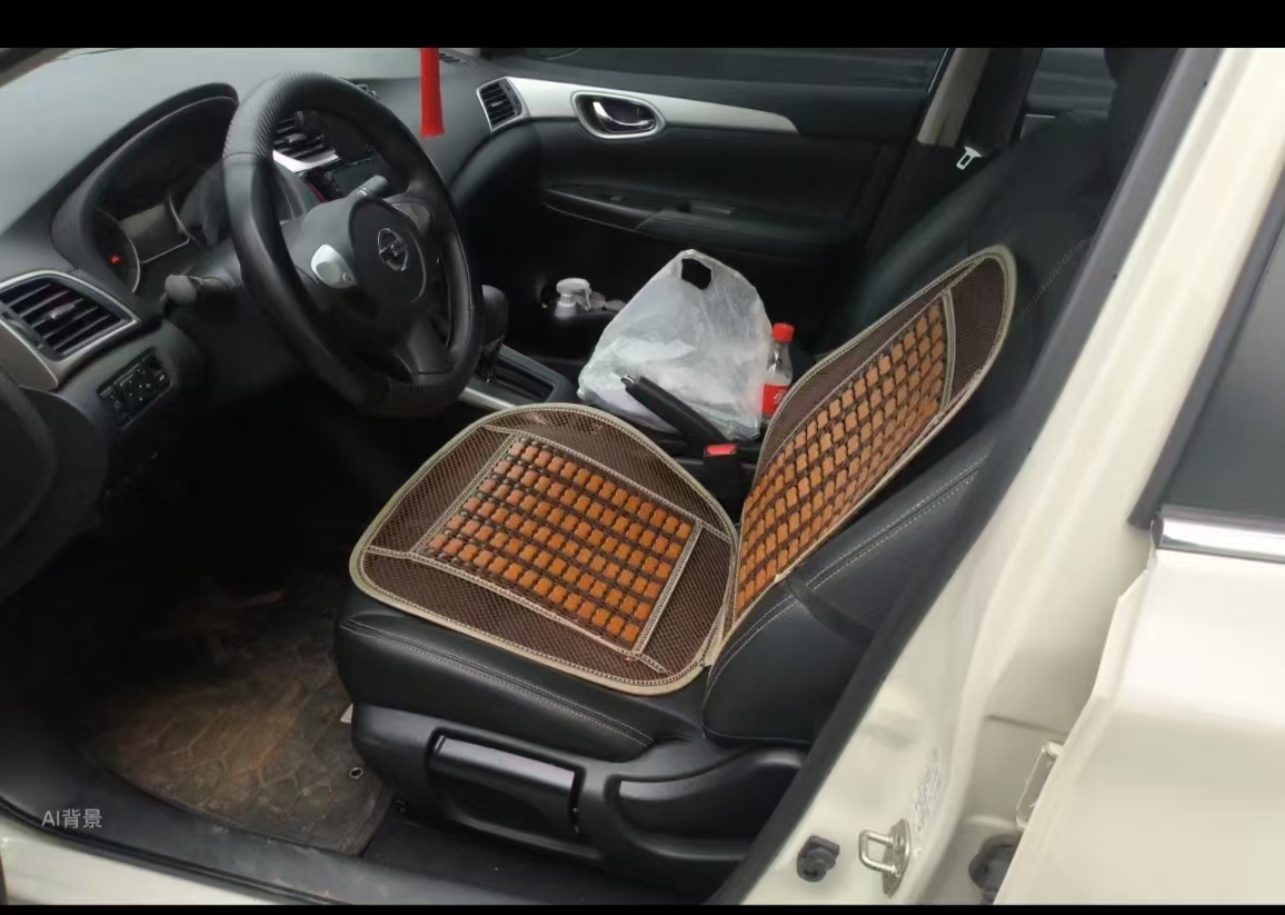 Nissan Sylphy 2024 car image #18