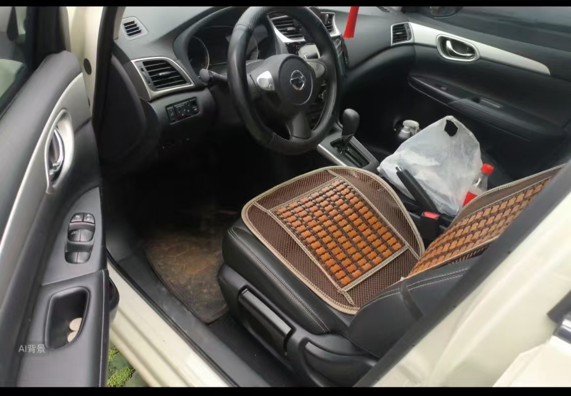 Nissan Sylphy 2024 car image #14