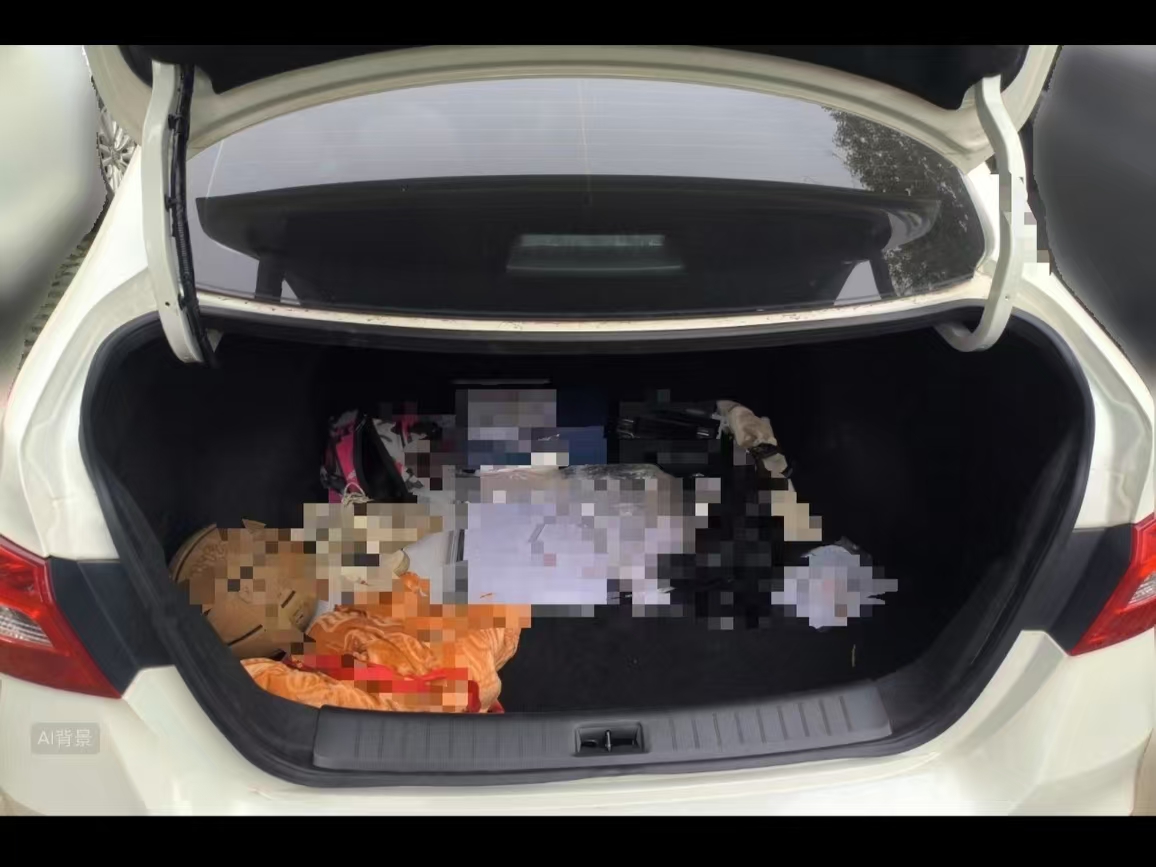 Nissan Sylphy 2024 car image #10