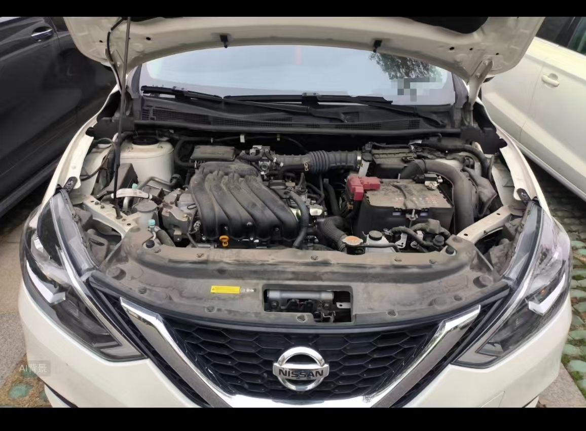 Nissan Sylphy 2024 car image #13