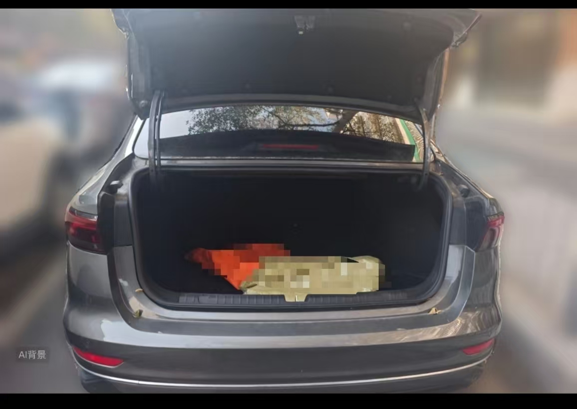 GEELY Emgrand 2023 imagem de carro #14