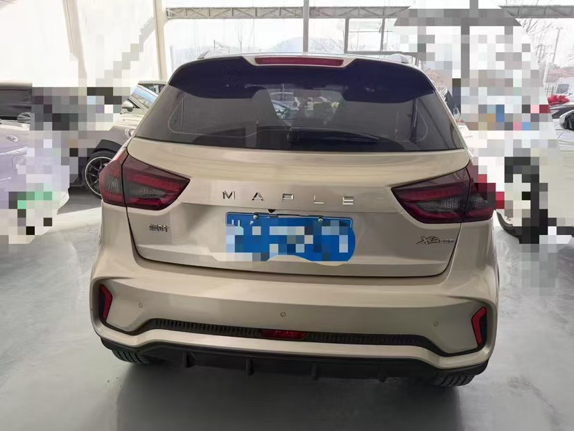 睿蓝汽车 睿蓝汽车X3 PRO 2023 汽车图片 #2