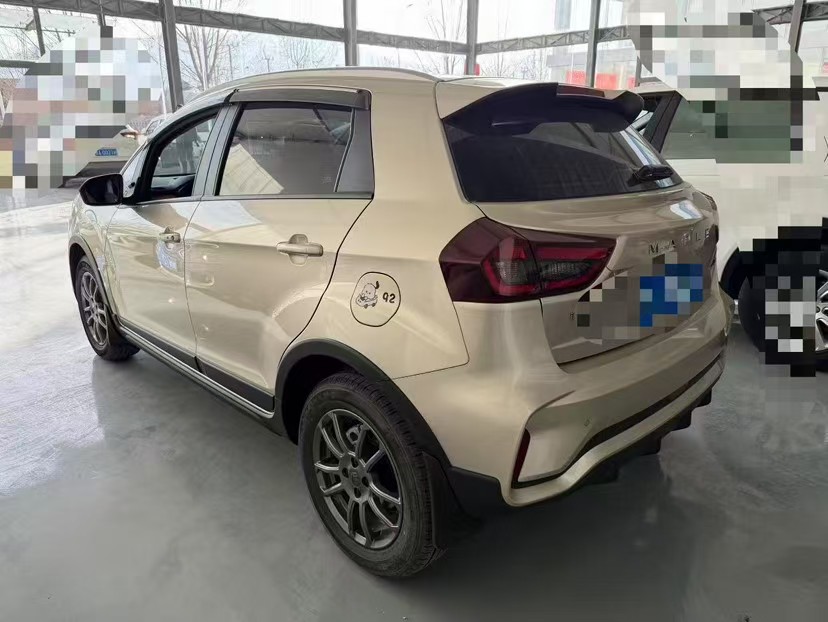 睿蓝汽车 睿蓝汽车X3 PRO 2023 汽车图片 #5