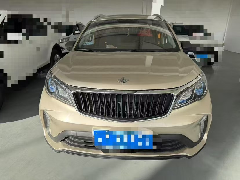 睿蓝汽车 睿蓝汽车X3 PRO 2023 汽车图片 #6