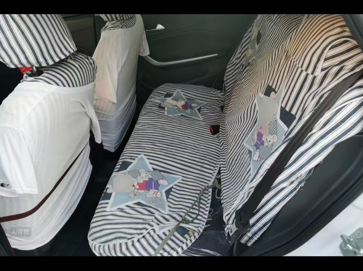 Chery Tiggo 3x 2024 #15 Chery Tiggo 3x 2024 car image #15