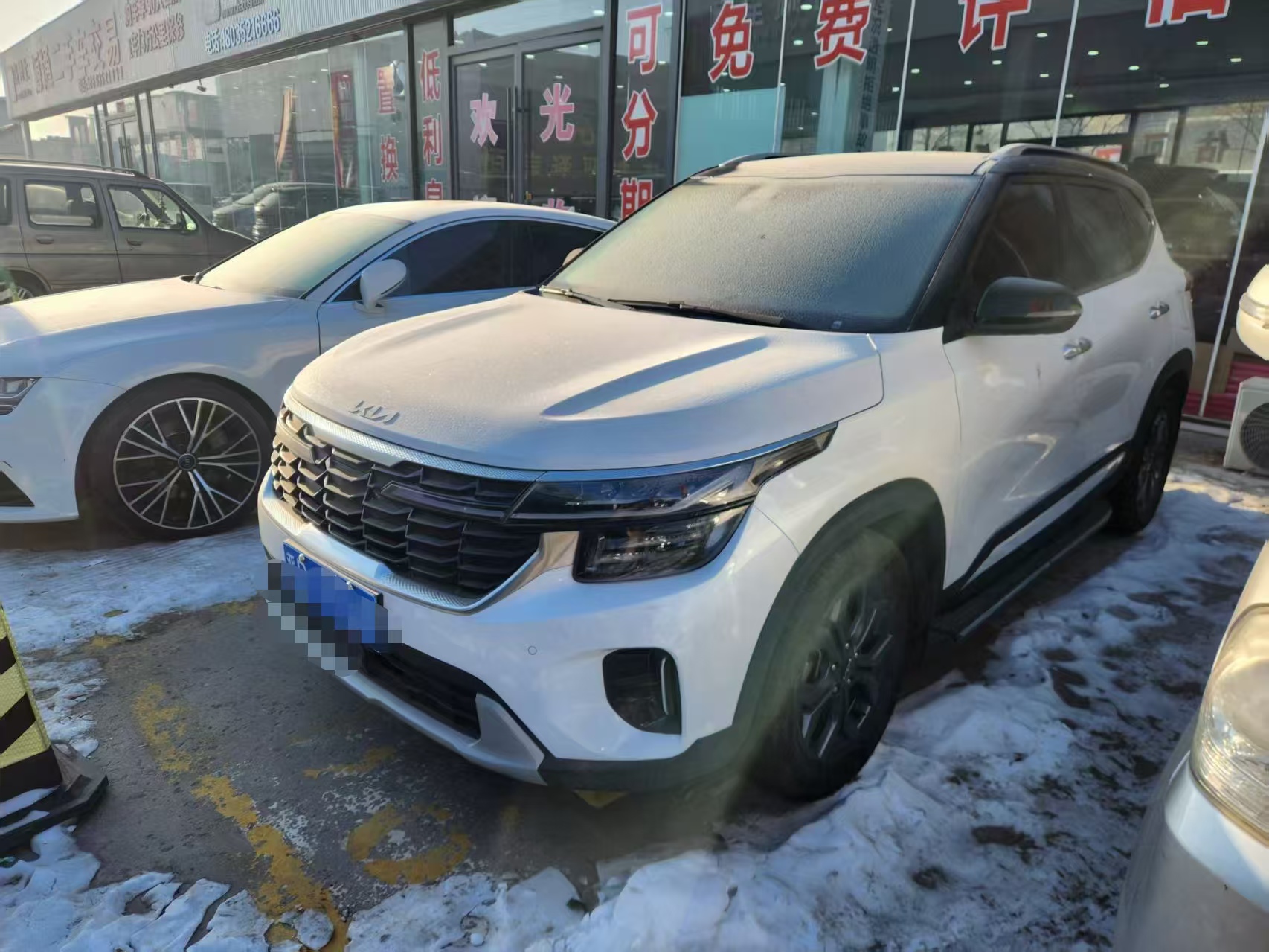Kia Seltos 2023 car image 