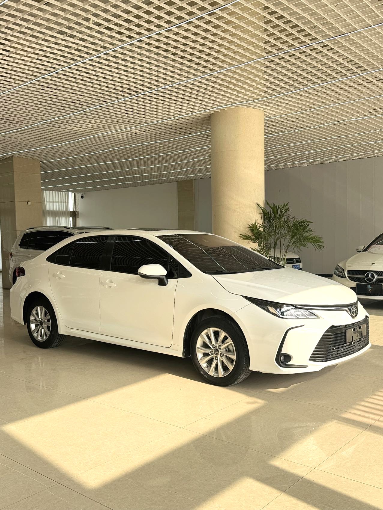 Toyota Corolla 2023 #8 Toyota Corolla 2023 car image #8