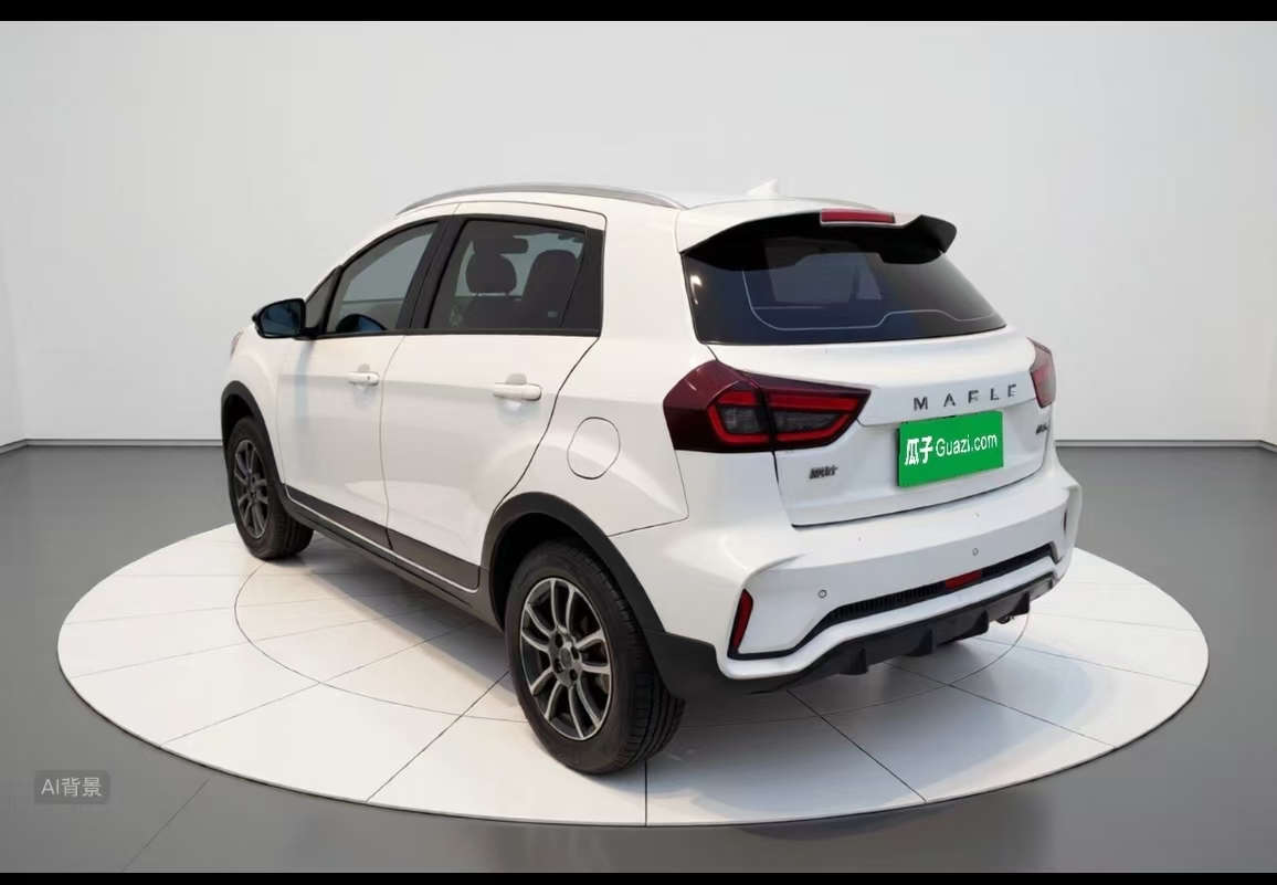 睿蓝汽车 睿蓝汽车X3 PRO 2023 汽车图片 #13