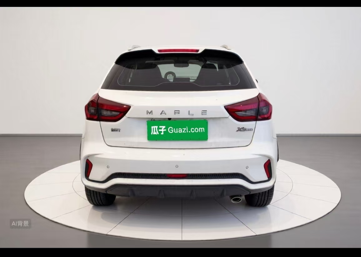 睿蓝汽车 睿蓝汽车X3 PRO 2023 汽车图片 #4