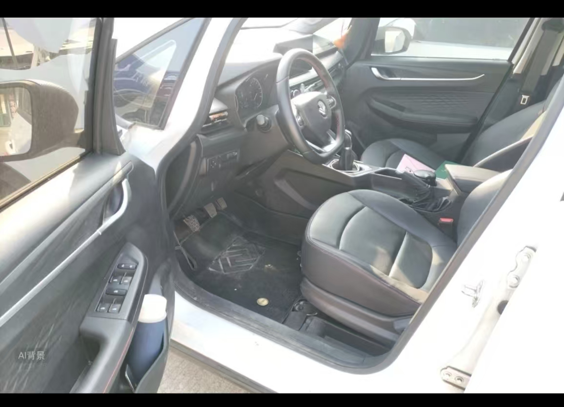 睿蓝汽车 睿蓝汽车X3 PRO 2023 汽车图片 #8