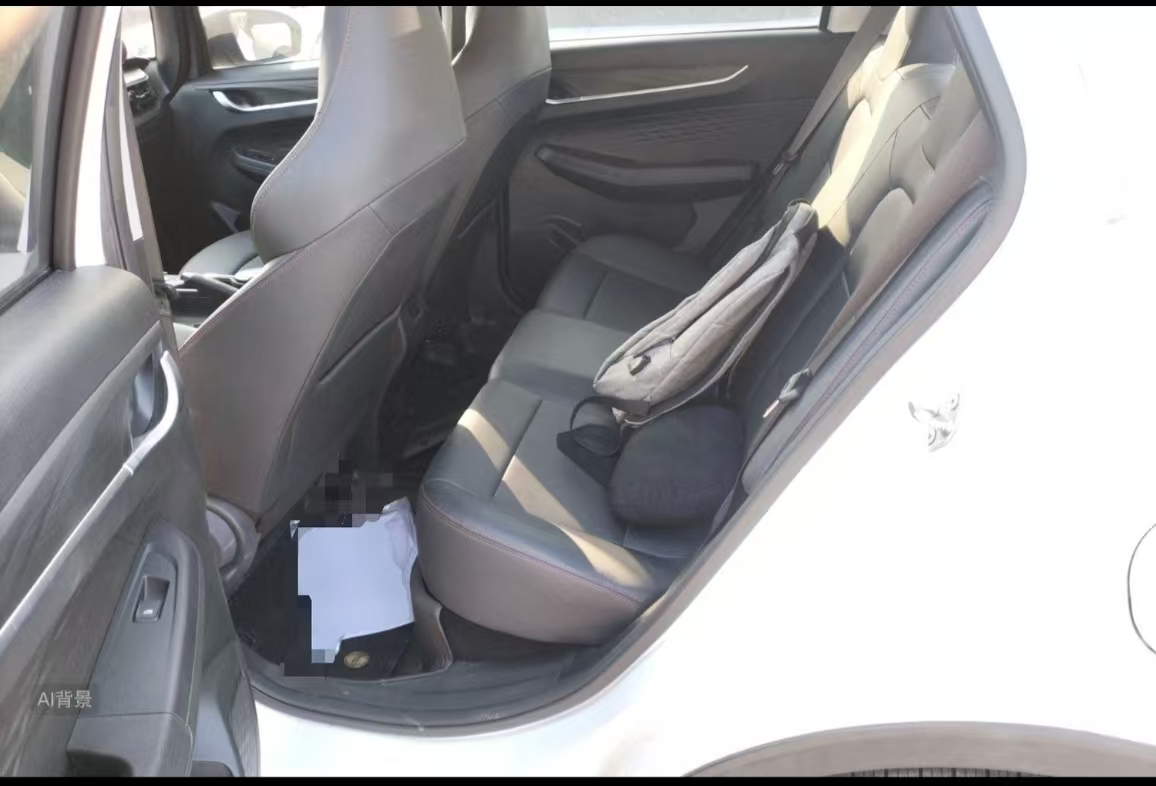 睿蓝汽车 睿蓝汽车X3 PRO 2023 汽车图片 #7