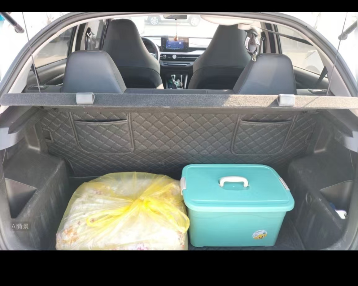 睿蓝汽车 睿蓝汽车X3 PRO 2023 汽车图片 #18