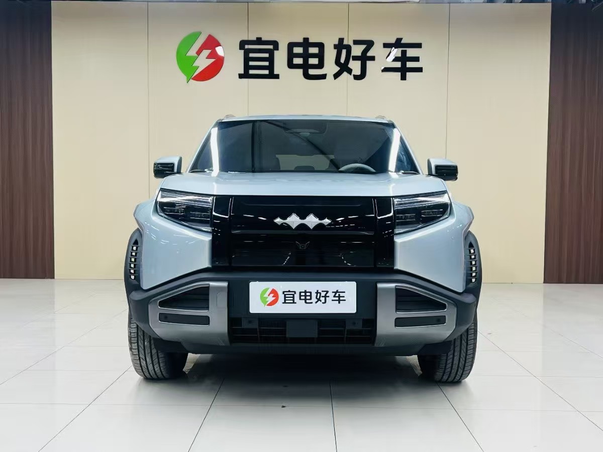 FangChengBao Tiger 3 2025 car image #9