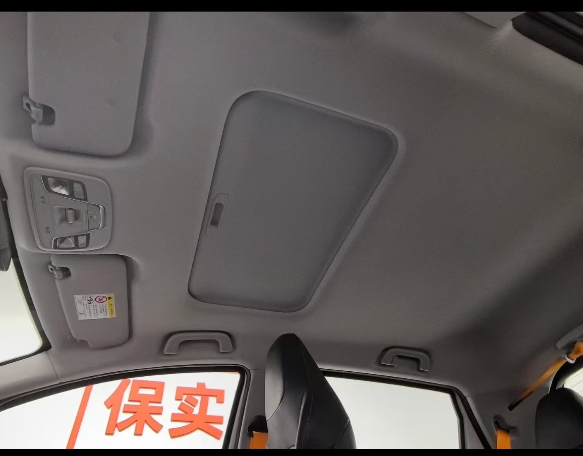 Livan X3 PRO 2023 image de voiture #11