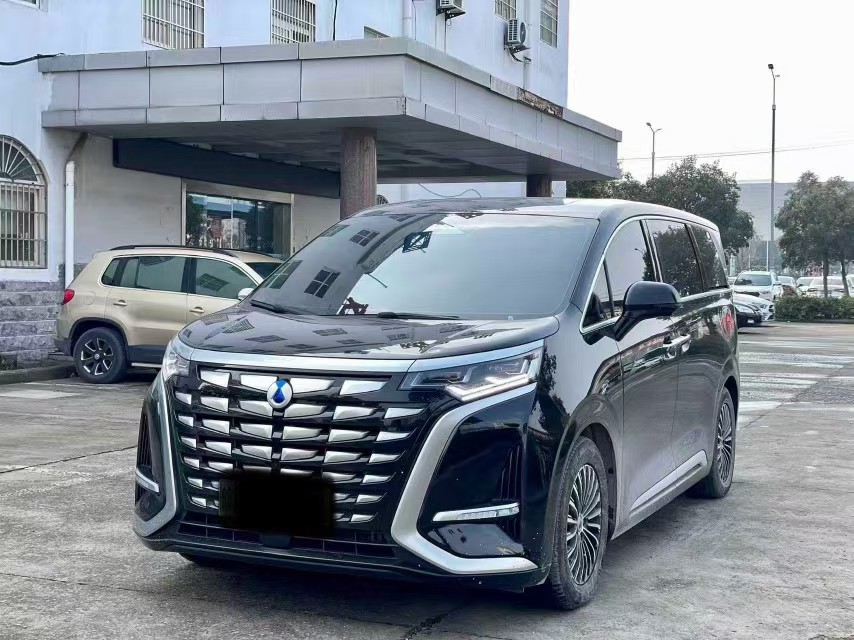 Denza D9 2025 car image 