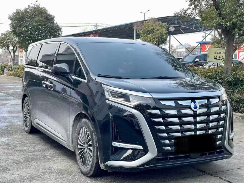 Denza D9 2025 #3 Denza D9 2025 car image #3