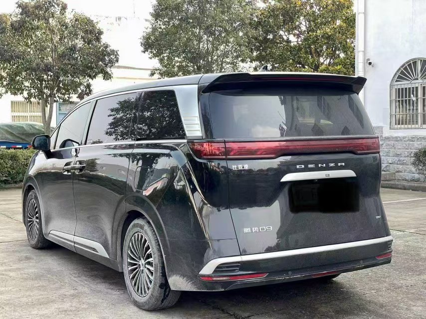 Denza D9 2025 #7 Denza D9 2025 car image #7
