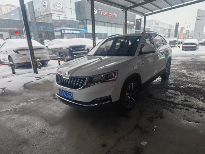 Skoda Kamiq 2023 Skoda Kamiq 2023 car image