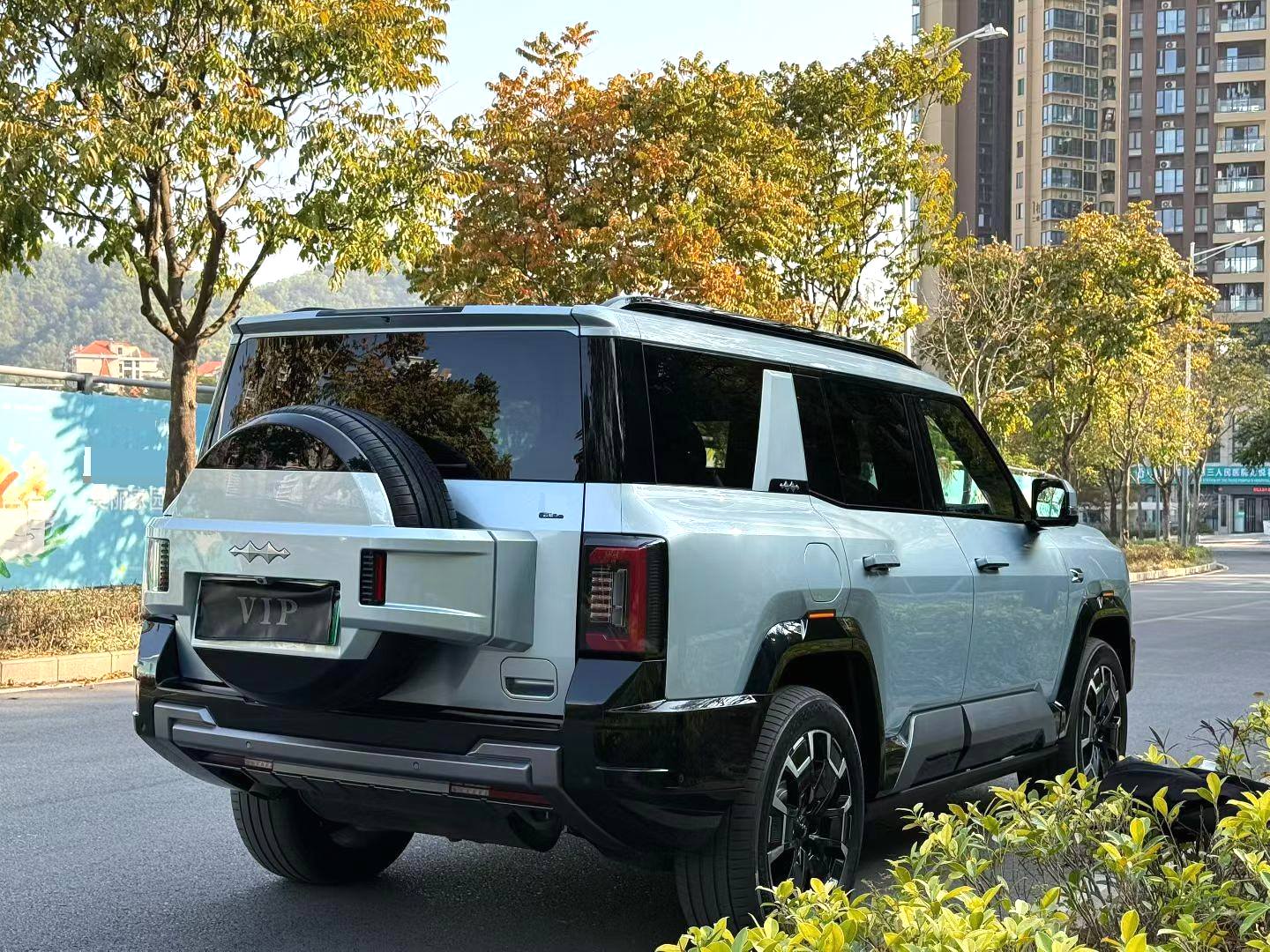 FangChengBao Leopard 8 2024 #9 FangChengBao Leopard 8 2024 car image #9