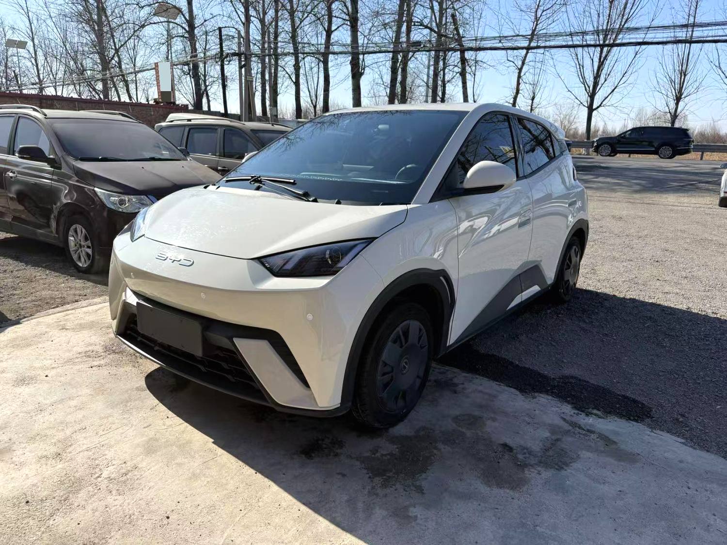 BYD Seagull 2024 car image 