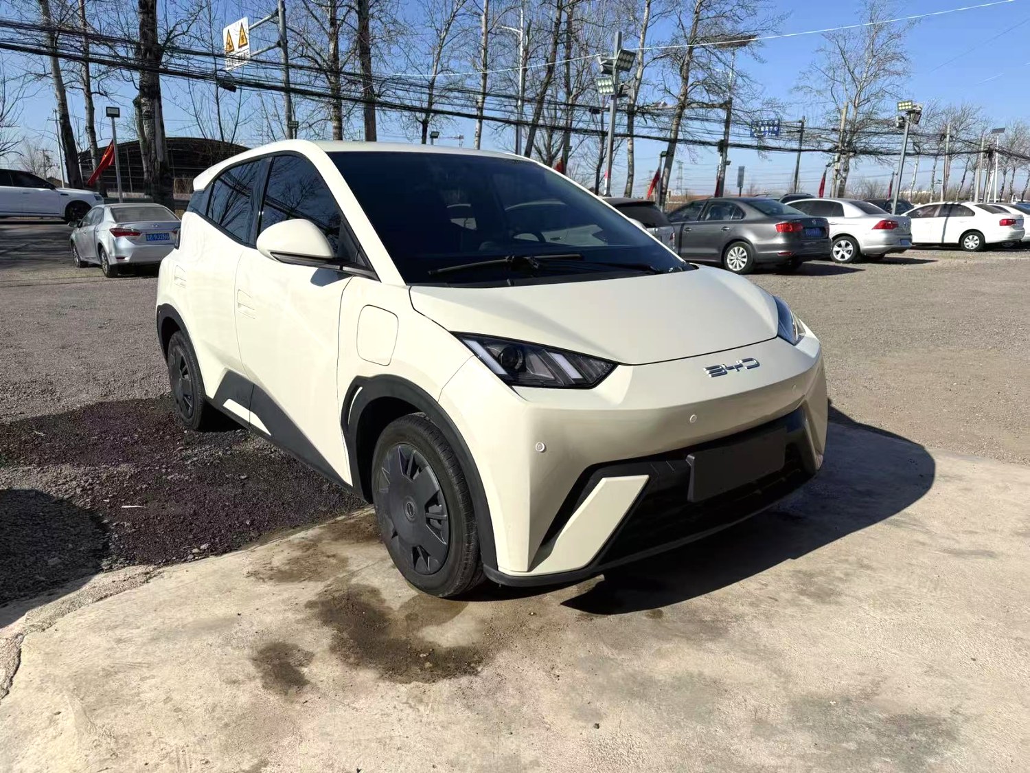 BYD Seagull 2024 #9 BYD Seagull 2024 car image #9