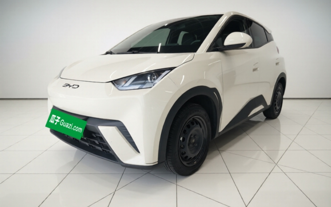 BYD Seagull 2023 car image 