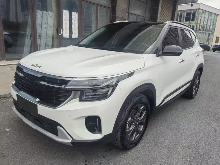 Kia Seltos 2024 car image 