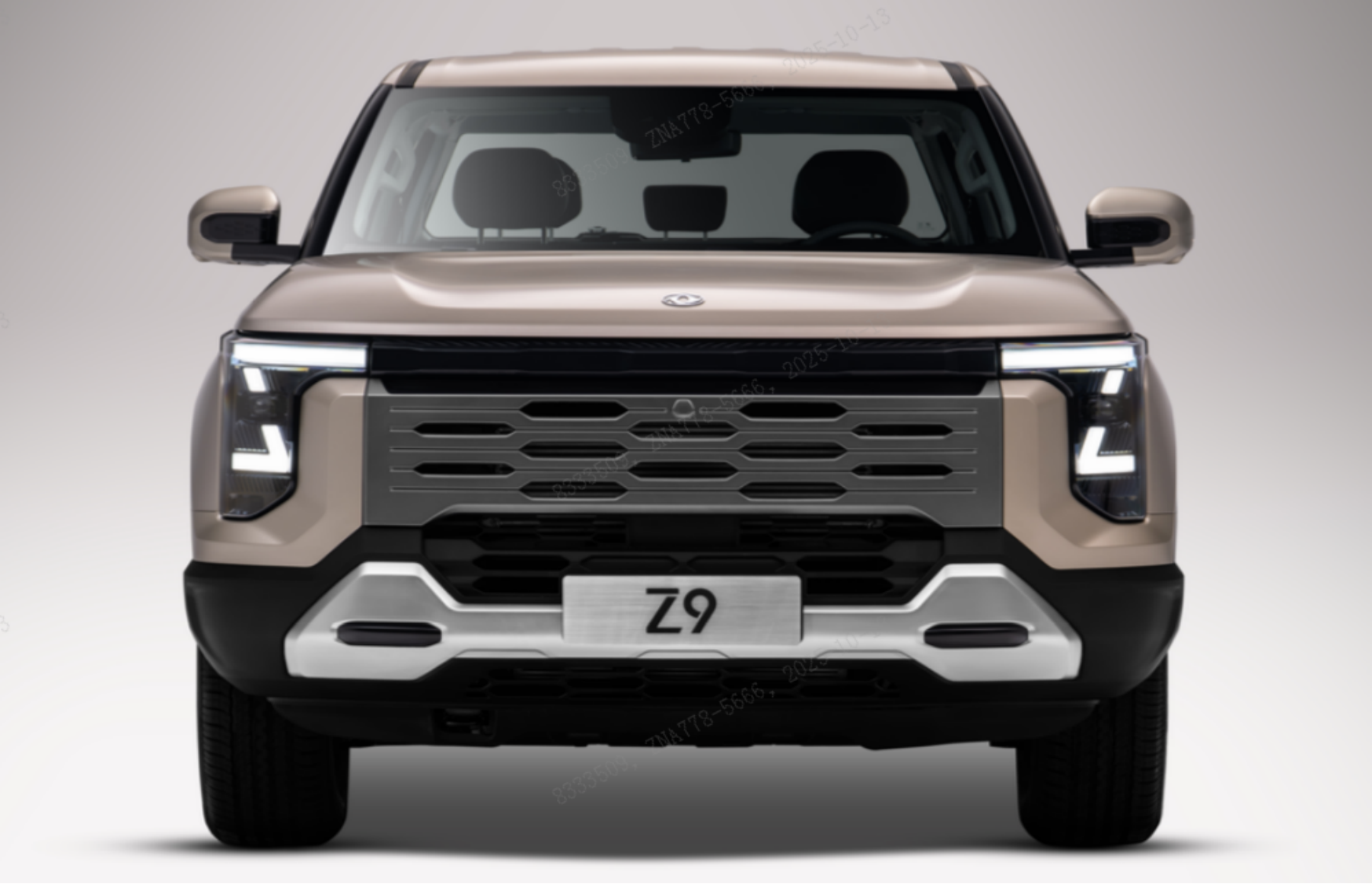 Forthing M7 car image #2