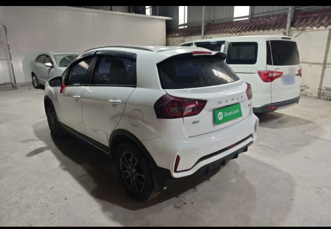 睿蓝汽车 睿蓝汽车X3 PRO 2023 汽车图片 #9