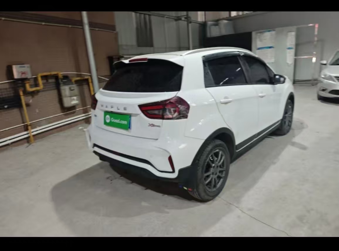 睿蓝汽车 睿蓝汽车X3 PRO 2023 汽车图片 #3