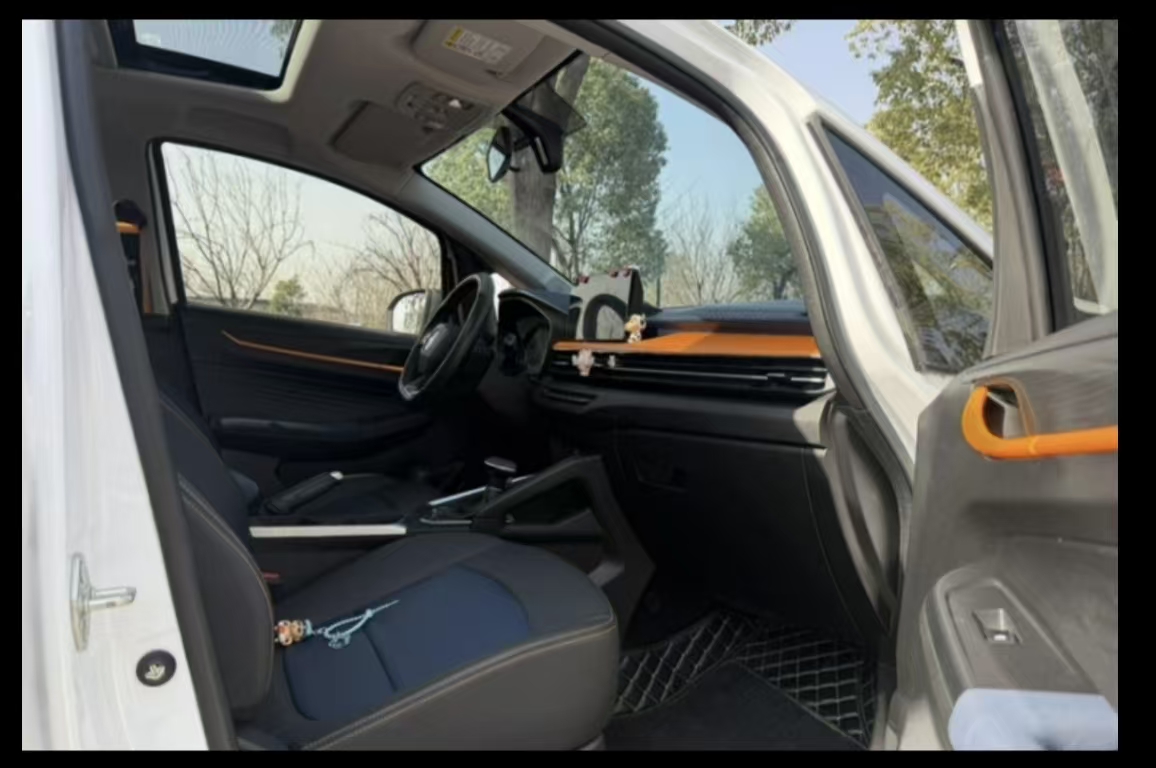 睿蓝汽车 睿蓝汽车X3 PRO 2023 汽车图片 #6