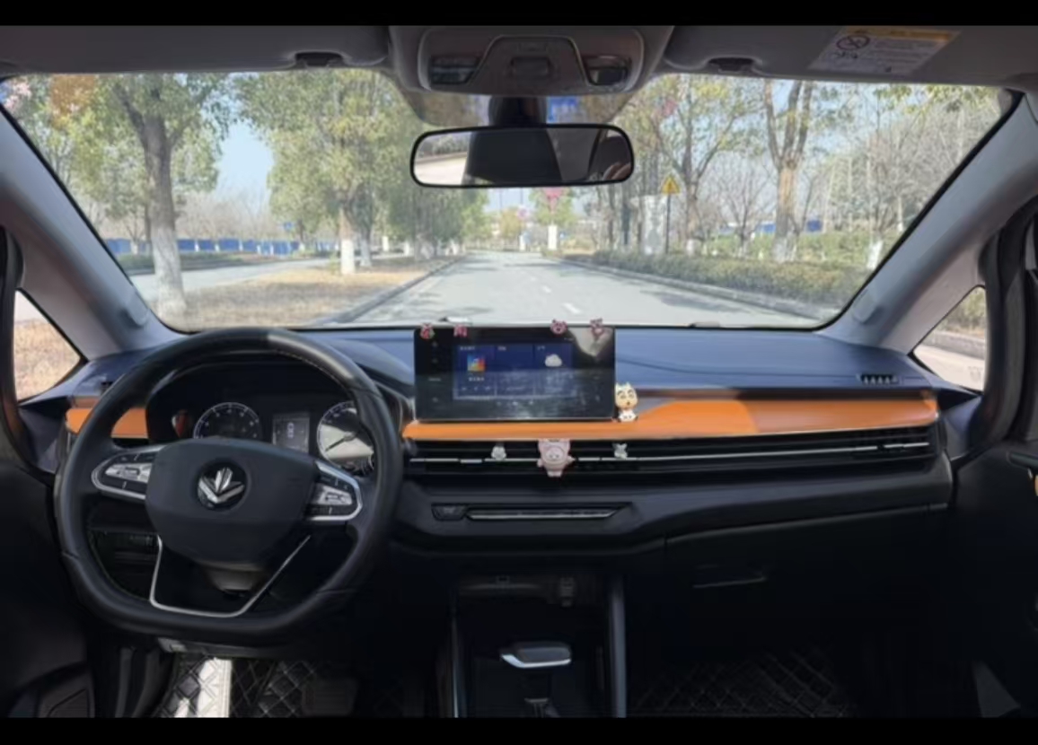 睿蓝汽车 睿蓝汽车X3 PRO 2023 汽车图片 #7