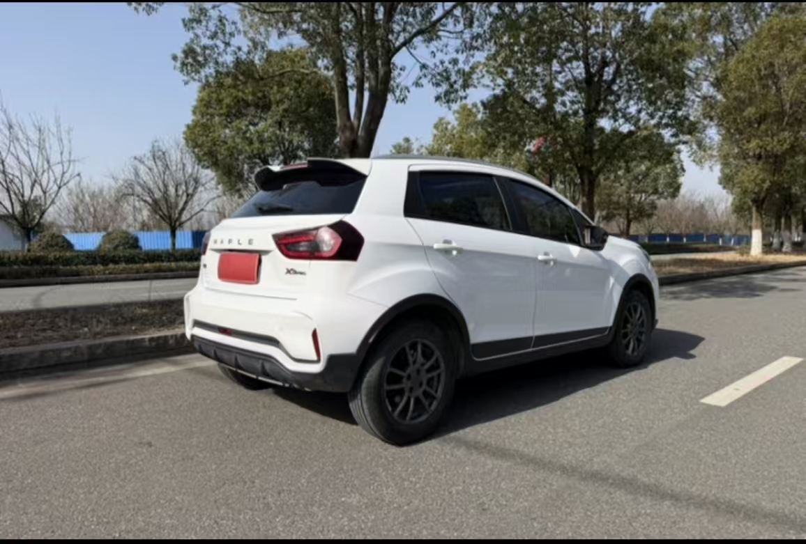 睿蓝汽车 睿蓝汽车X3 PRO 2023 汽车图片 #10